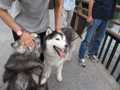 井の頭公園