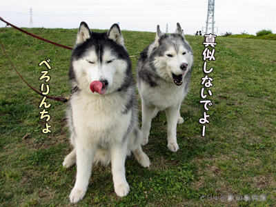 丘の上のおふたりさん