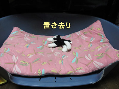 子育てトリュフ