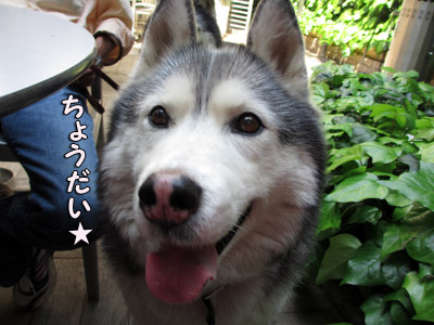 ランチタイム