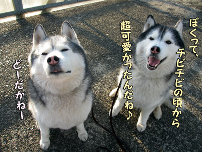 トリュフ&ポトフ