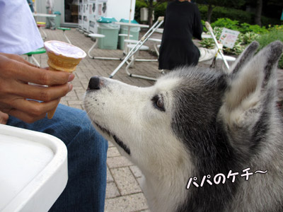 河口湖