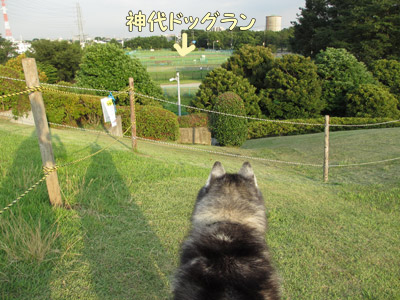 自由広場