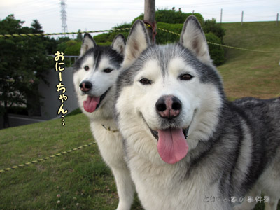 丘の上のおふたりさん