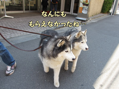 ランチタイム