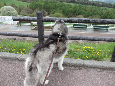 まきば公園