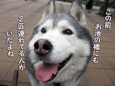 トリュフ