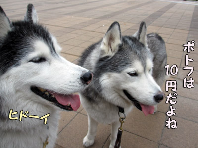 おいくら?