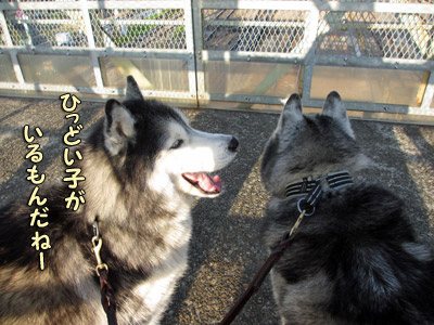 トリュフ&ポトフ
