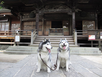 深大寺のおふたりさん