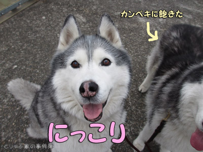 笑顔のプロフェッショナル