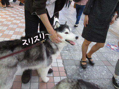 スリスリ活動