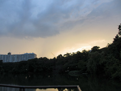 雨上がりの井の頭公園