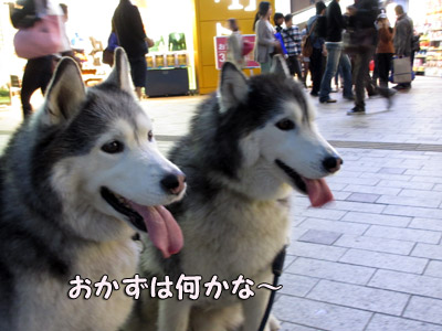 吉祥寺駅前