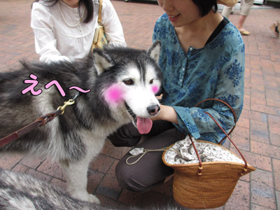 エヘエヘ活動