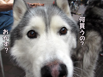 トリュフ
