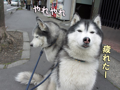 お疲れなおふたりさん