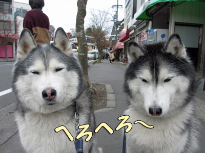 お疲れなおふたりさん