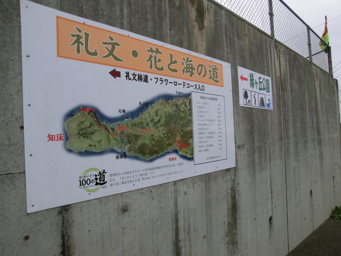 礼文林道 (5)