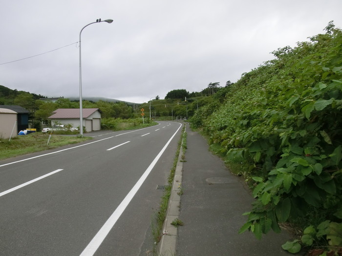 礼文林道 (6)