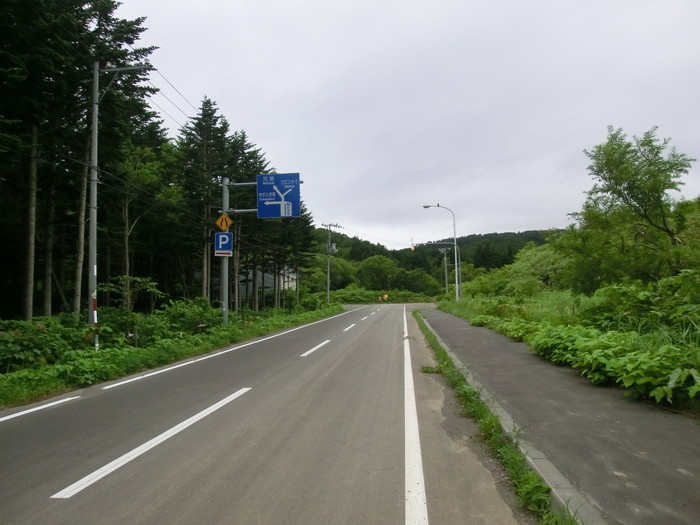 礼文林道 (9)