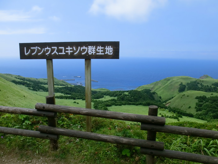 礼文林道 (72)