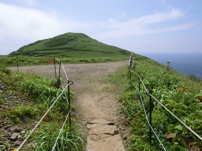 礼文林道 (77)