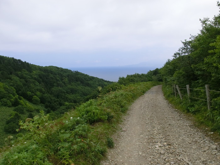 礼文林道 (87)