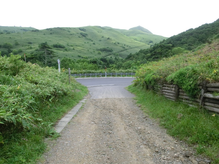 礼文林道 (88)