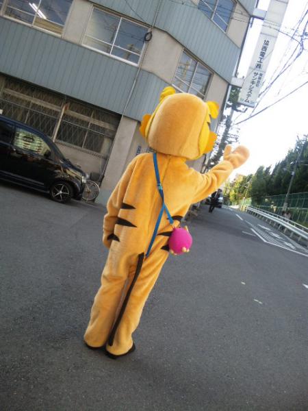 とうちゃんの後ろ姿