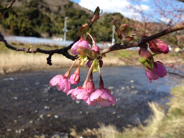 image_20130305133612.jpg