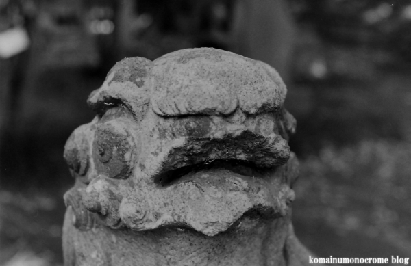鷲神社(さいたま市見沼区大和田町)2
