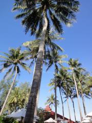 s-DSC02208.jpg