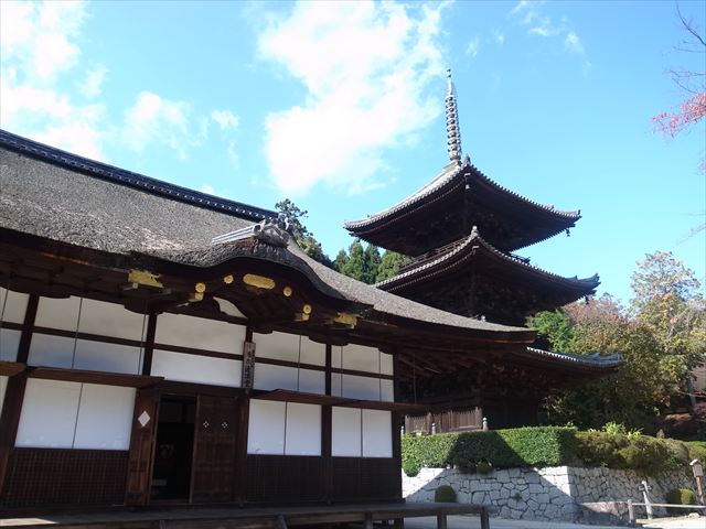 穴場の紅葉！？　湖国再発見2013！　初めて（？）の三井寺