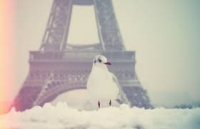 snowimages.jpg