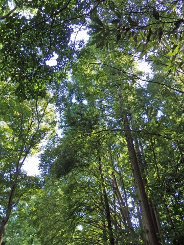 P9130057.jpg