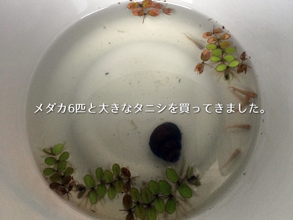 20140920-02.jpg