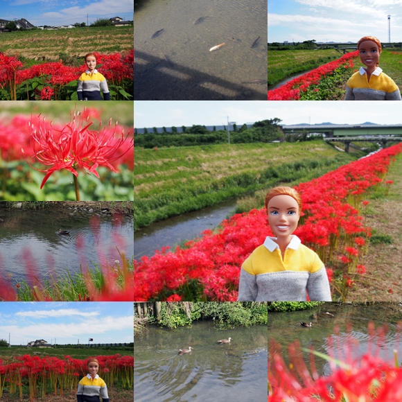 20140921-03.jpg