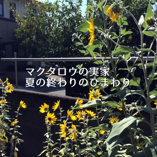 20140923-02.jpg