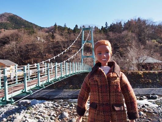 dousi-20131130-01s.jpg