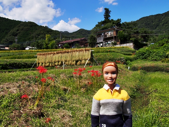 isehara-20140914-01s.jpg