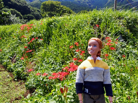 isehara-20140914-03s.jpg