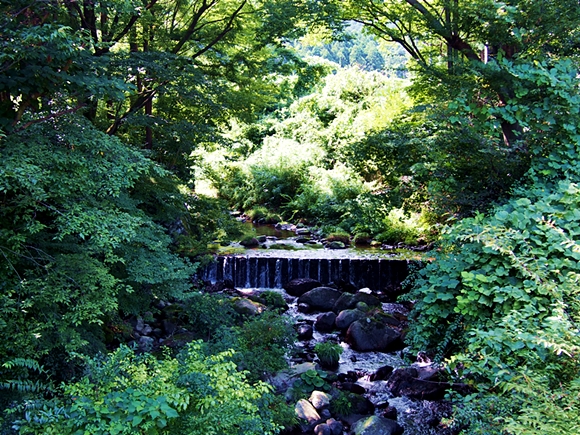 isehara-20140914-05s.jpg