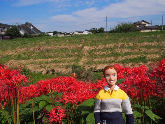 kakegawa-20140921-02s.jpg