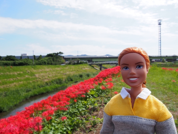 kakegawa-20140921-03s.jpg