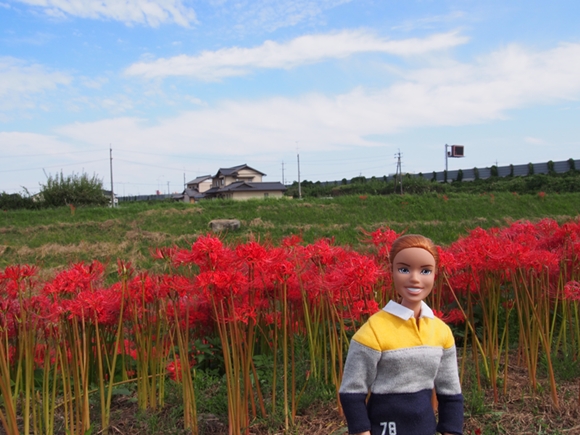 kakegawa-20140921-04s.jpg