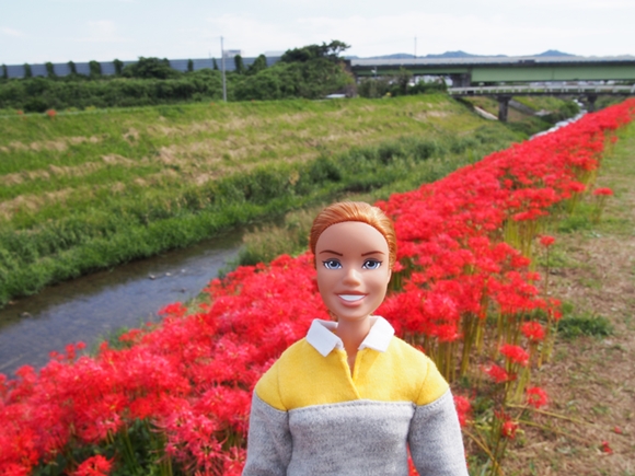 kakegawa-20140921-05s.jpg