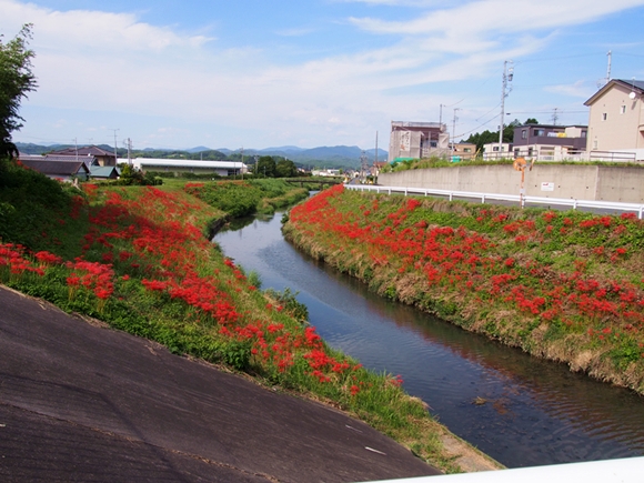 kakegawa-20140921-11s.jpg