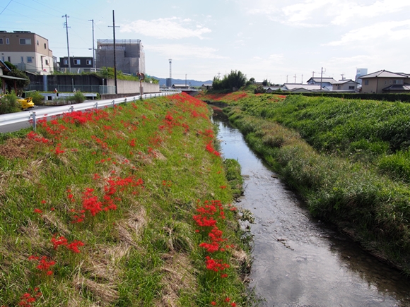 kakegawa-20140921-12s.jpg