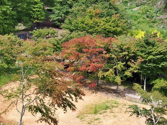 niji-20140915-01s.jpg